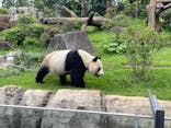 恩賜上野動物園に投稿された画像（2024/6/30）
