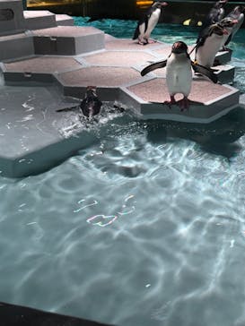 AOAO SAPPOROに投稿された画像（2024/6/30）