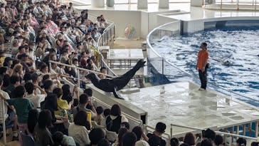 アクアワールド茨城県大洗水族館に投稿された画像（2024/6/30）