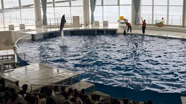 アクアワールド茨城県大洗水族館に投稿された画像（2024/6/30）