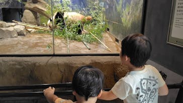 恩賜上野動物園に投稿された画像（2024/6/30）