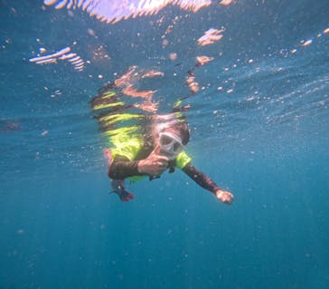  マリンショップHAPPYに投稿された画像（2024/6/30）