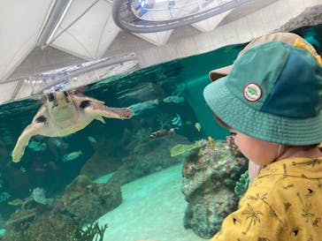 鴨川シーワールドに投稿された画像（2024/6/30）