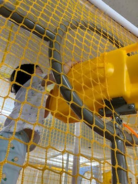 キッズランドUS 愛知瀬戸店に投稿された画像（2024/6/30）