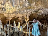 石垣島鍾乳洞に投稿された画像（2024/6/30）