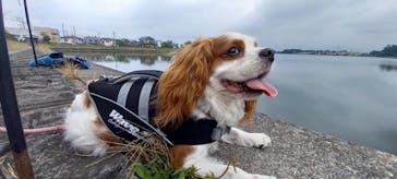 ビーチライフに投稿された画像（2024/6/30）