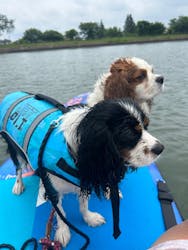 ビーチライフに投稿された画像（2024/6/30）