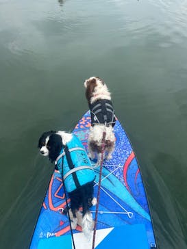 ビーチライフに投稿された画像（2024/6/30）