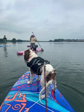 ビーチライフに投稿された画像（2024/6/30）