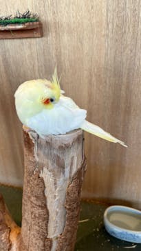 Moff animal cafe 小田原ダイナシティ店に投稿された画像（2024/6/30）