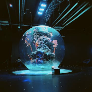 AQUARIUM × ART　atoa×felissimo chocolate museum（フェリシモ チョコレート ミュージアム）に投稿された画像（2024/6/30）