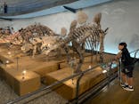 福井県立恐竜博物館に投稿された画像（2024/6/30）