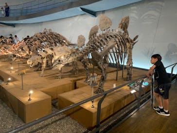 福井県立恐竜博物館に投稿された画像（2024/6/30）