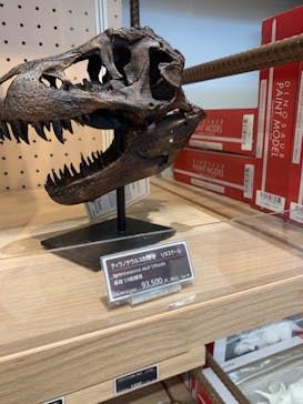 福井県立恐竜博物館に投稿された画像（2024/6/30）