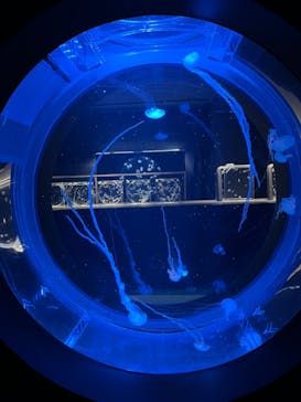 AOAO SAPPOROに投稿された画像（2024/6/30）