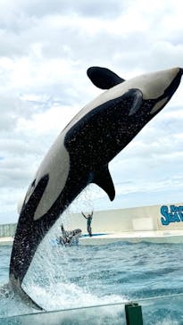 鴨川シーワールドに投稿された画像（2024/6/30）