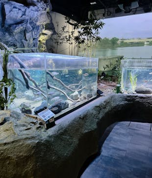 カワスイ 川崎⽔族館に投稿された画像（2024/6/30）