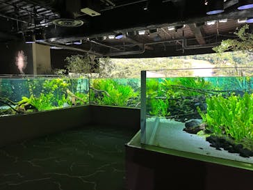 カワスイ 川崎⽔族館に投稿された画像（2024/6/30）