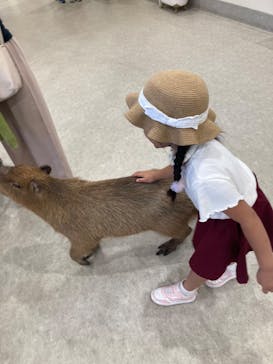 アニタッチみなとみらいに投稿された画像（2024/6/30）