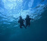 宮古島 ADVENTURE PiPi（ミヤコジマ アドベンチャー ピピ）に投稿された画像（2024/6/30）