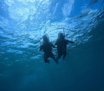 宮古島 ADVENTURE PiPi（ミヤコジマ アドベンチャー ピピ）に投稿された画像（2024/6/30）