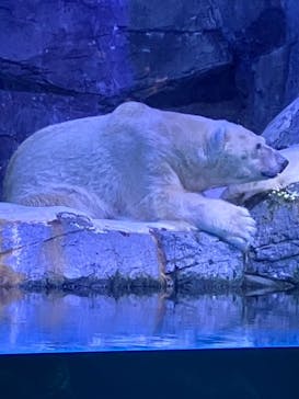横浜・八景島シーパラダイスに投稿された画像（2024/6/30）