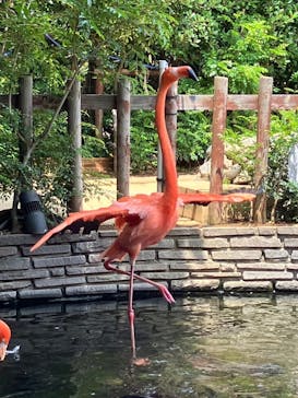 横浜・八景島シーパラダイスに投稿された画像（2024/6/30）