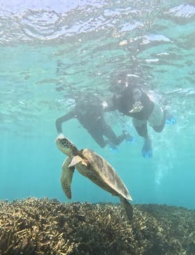 宮古島 ADVENTURE PiPi（ミヤコジマ アドベンチャー ピピ）に投稿された画像（2024/6/30）