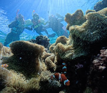 宮古島 ADVENTURE PiPi（ミヤコジマ アドベンチャー ピピ）に投稿された画像（2024/6/30）