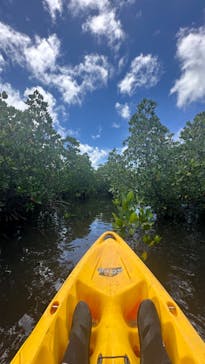 西表島 ADVENTURE PiPi（アドベンチャーピピ）に投稿された画像（2024/6/30）