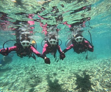 沖縄マリンサービス碧に投稿された画像（2024/6/30）