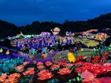 伊豆ぐらんぱる公園に投稿された画像（2024/7/1）