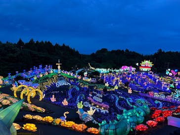 伊豆ぐらんぱる公園に投稿された画像（2024/6/30）