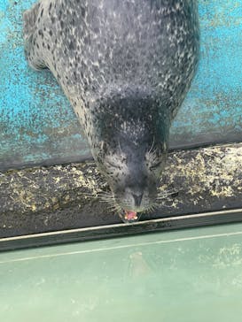 神崎農村公園ヨーデルの森に投稿された画像（2024/6/30）