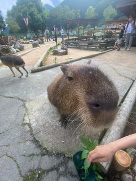 神崎農村公園ヨーデルの森に投稿された画像（2024/6/30）