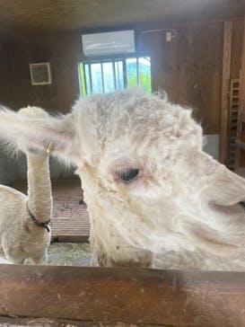 神崎農村公園ヨーデルの森に投稿された画像（2024/6/30）