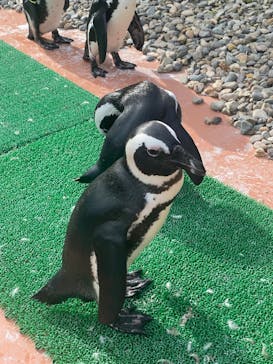 神崎農村公園ヨーデルの森に投稿された画像（2024/6/30）