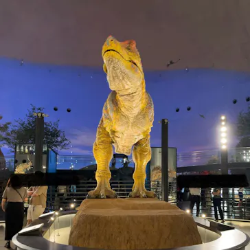 福井県立恐竜博物館に投稿された画像（2024/6/30）