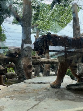 神戸どうぶつ王国に投稿された画像（2024/6/30）