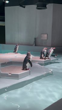 AOAO SAPPOROに投稿された画像（2024/6/30）