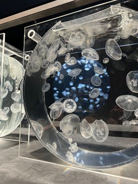 AOAO SAPPOROに投稿された画像（2024/6/30）