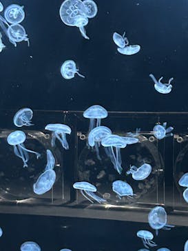 AOAO SAPPOROに投稿された画像（2024/6/30）