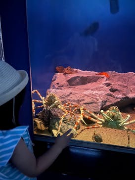 名古屋港水族館に投稿された画像（2024/6/30）