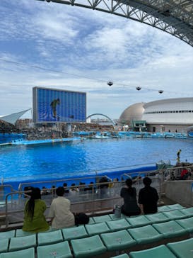 名古屋港水族館に投稿された画像（2024/6/30）