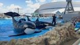 名古屋港水族館に投稿された画像（2024/7/1）
