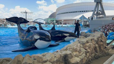 名古屋港水族館に投稿された画像（2024/6/30）
