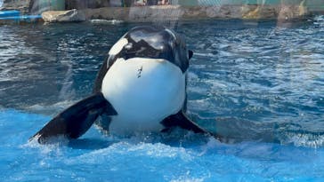 名古屋港水族館に投稿された画像（2024/6/30）