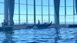 アクアワールド茨城県大洗水族館に投稿された画像（2024/7/1）