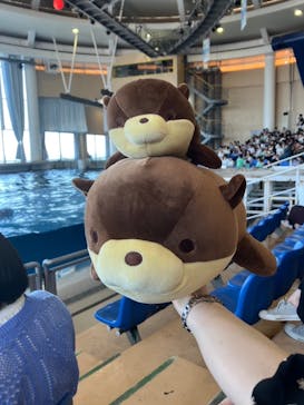 アクアワールド茨城県大洗水族館に投稿された画像（2024/7/1）