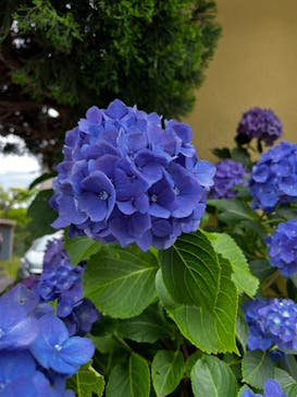 彫刻の森美術館に投稿された画像（2024/7/1）